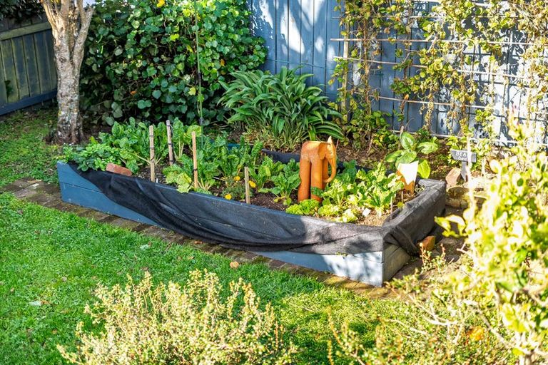Photo of property in 13 Rolleston Street, Mount Cook, Wellington, 6021