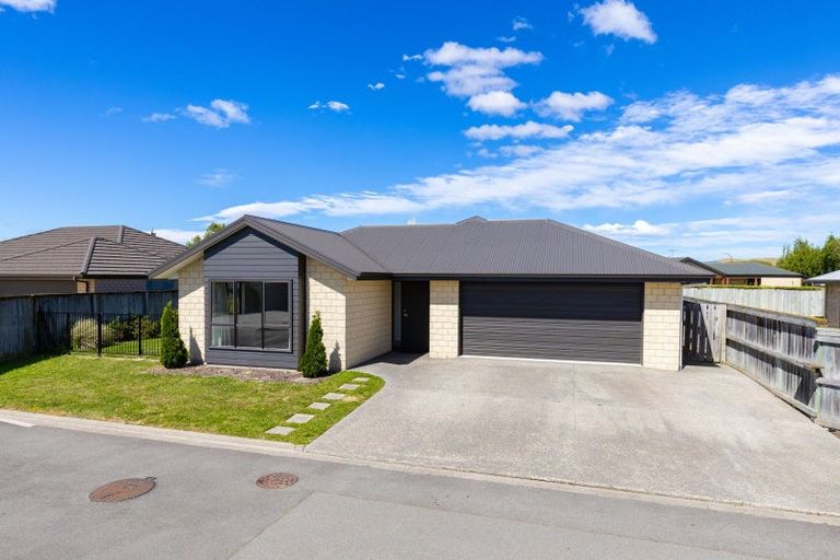 Photo of property in 23b Tremorne Avenue, Blenheim, 7201