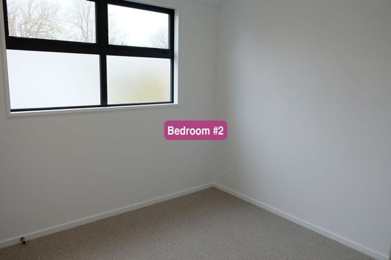 Photo of property in 8c Champion Street, Edgeware, Christchurch, 8013