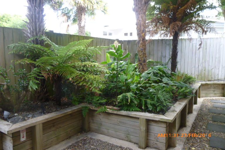 Photo of property in 40b Karaka Road, Otumoetai, Tauranga, 3110