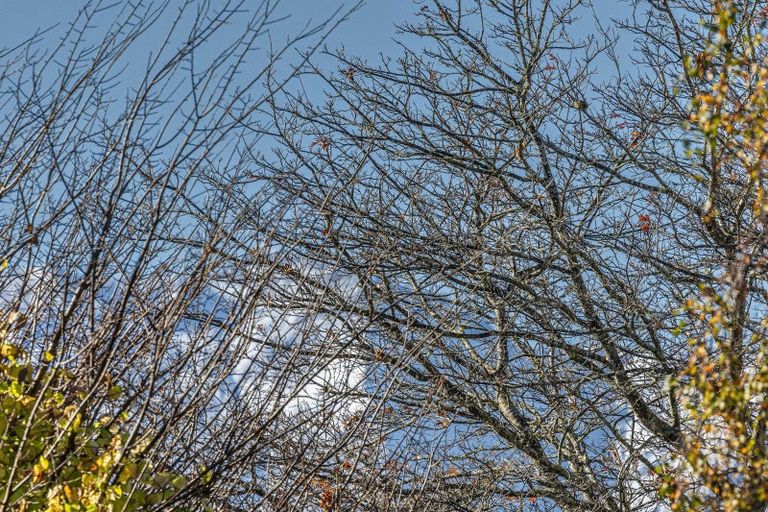 Photo of property in 24 Turoa Drive, Ohakune, 4625