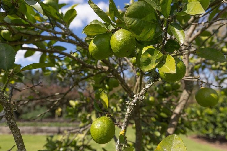 Photo of property in 319b Rotowaro Road, Huntly, 3771