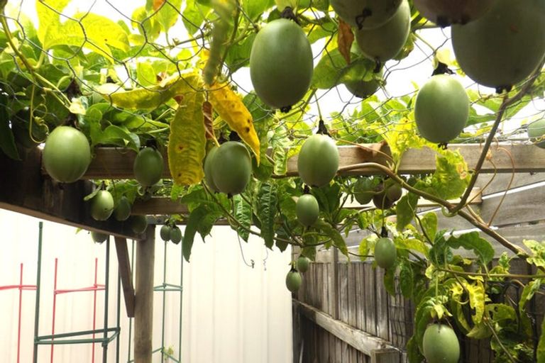 Photo of property in 1 Lochiel Place, Te Kamo, Whangarei, 0112