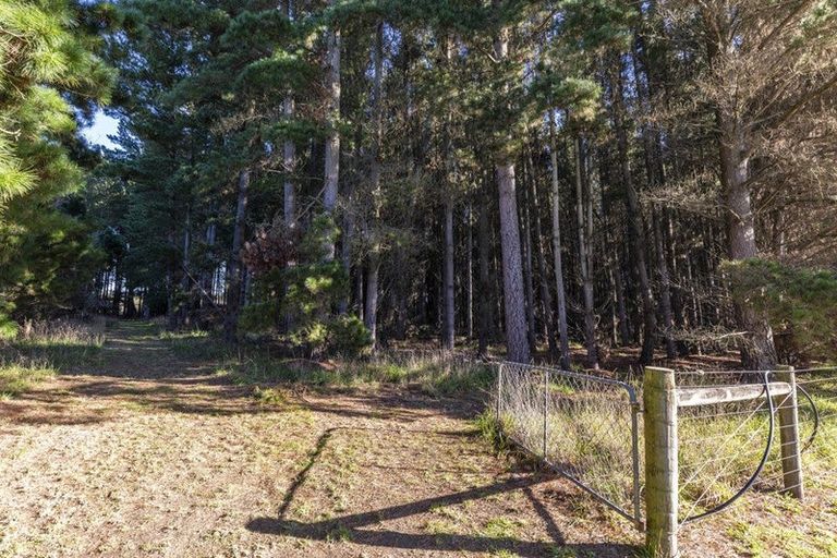 Photo of property in 1499 Tram Road, Swannanoa, Rangiora, 7475