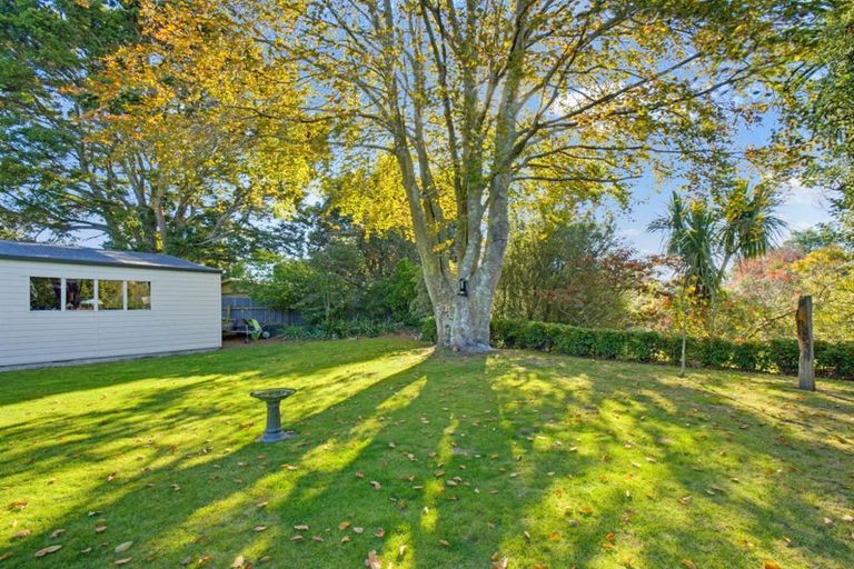 Photo of property in 43 Norfolk Crescent, Feilding, 4702