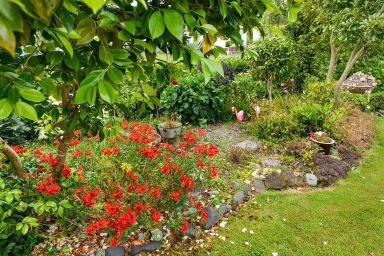 Photo of property in 58 Skerman Street, Marton, 4710