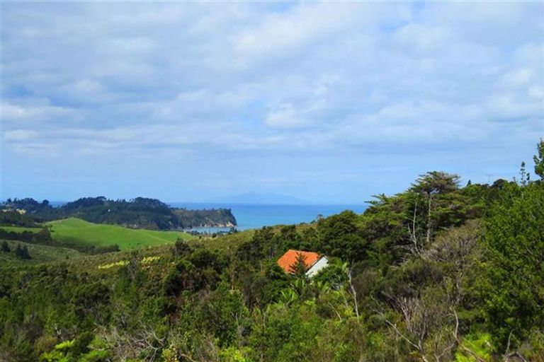 Photo of property in 229 Hillcrest Road, Wainui, 0931