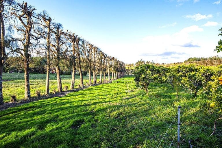 Photo of property in 577a Whareora Road, Whareora, Whangarei, 0175