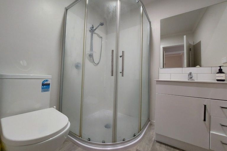 Photo of property in 188u3 Ulster Street, Whitiora, Hamilton, 3200