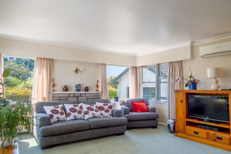 Photo of property in 49 Hinemoa Street, Whakatane, 3120