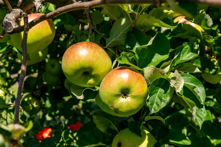 Photo of property in 32 Kingsford Drive, Stoke, Nelson, 7011