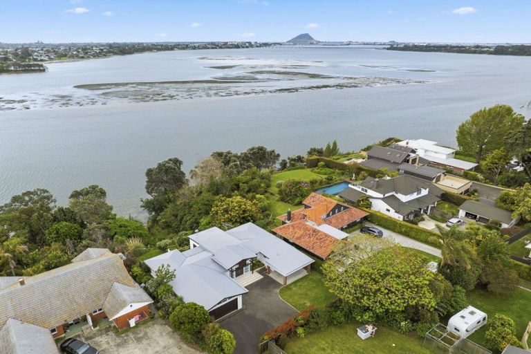 Photo of property in 244 Maungatapu Road, Maungatapu, Tauranga, 3112