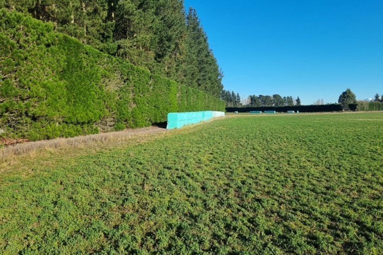 Photo of property in 480 Pesters Road, West Eyreton, 7475
