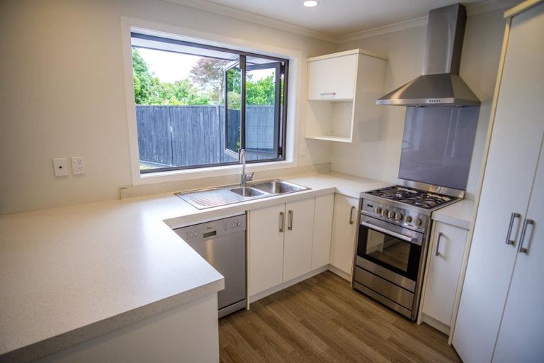 Photo of property in 43a Grey Street, Hamilton East, Hamilton, 3216