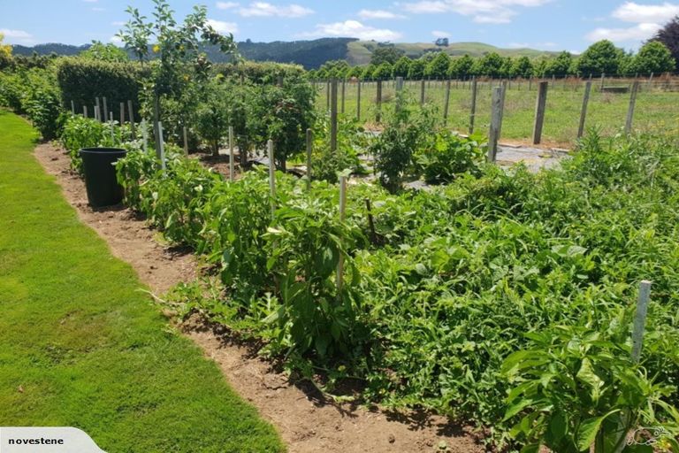 Photo of property in 8 Judge Road, Rotoorangi, Te Awamutu, 3879