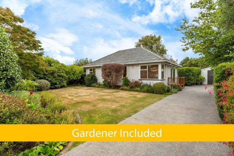 Photo of property in 61 Mcbeath Avenue, Hoon Hay, Christchurch, 8025