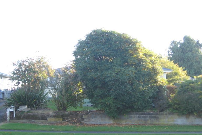 Photo of property in 38 Elizabeth Drive, Tokoroa, 3420