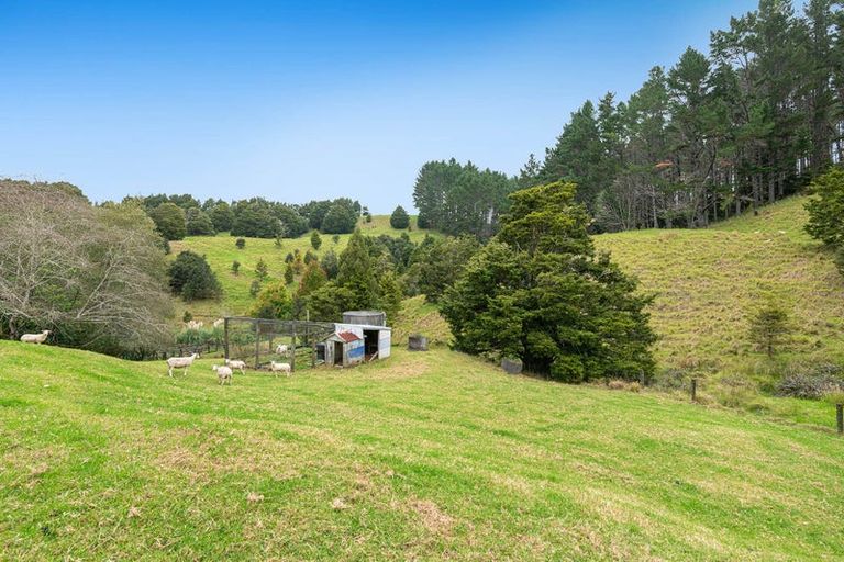Photo of property in 1178 Pohuehue Road, Pohuehue, Warkworth, 0983