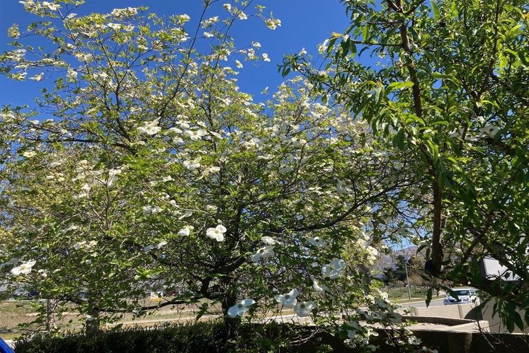 Photo of property in 27 Gair Avenue, Cromwell, 9310