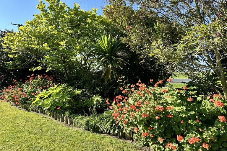 Photo of property in 673 Thornton Road, Thornton, Whakatane, 3194
