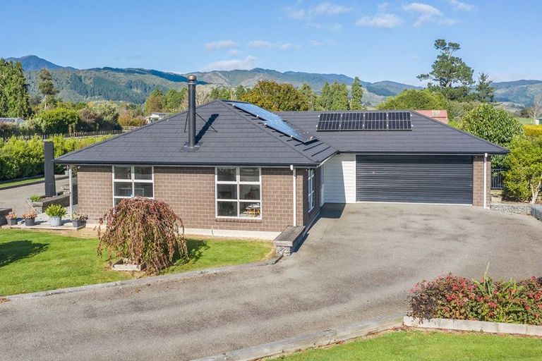Photo of property in 418 Tararua Road, Levin, 5571