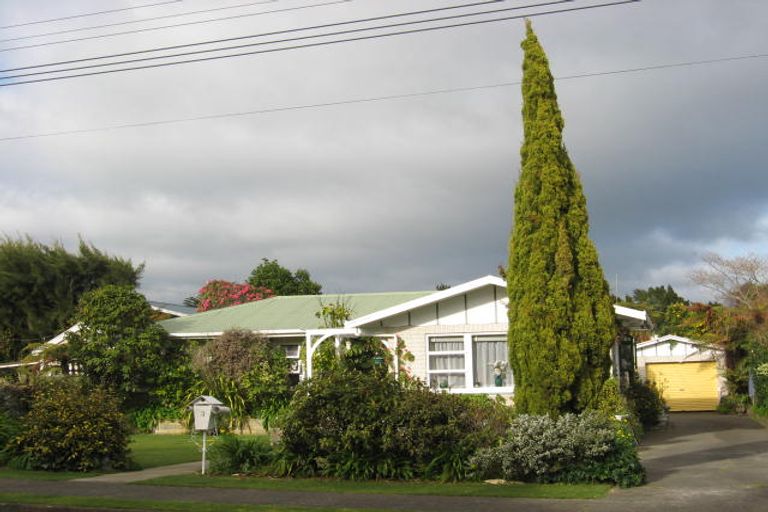 Photo of property in 3 Gordon Place, Levin, 5510