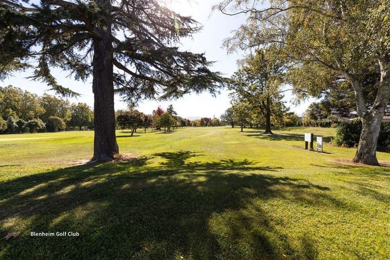 Photo of property in 128 Reservoir Street, Putaruru, 3411