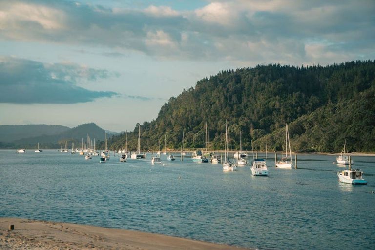 Photo of property in 104 Barbara Avenue, Whangamata, 3620