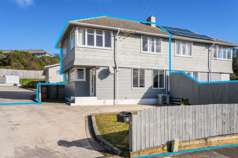 Photo of property in 60 Leicester Street, Cannons Creek, Porirua, 5024