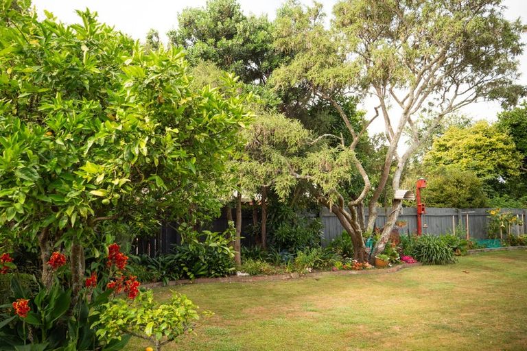 Photo of property in 114 Pahiatua Street, Hokowhitu, Palmerston North, 4410