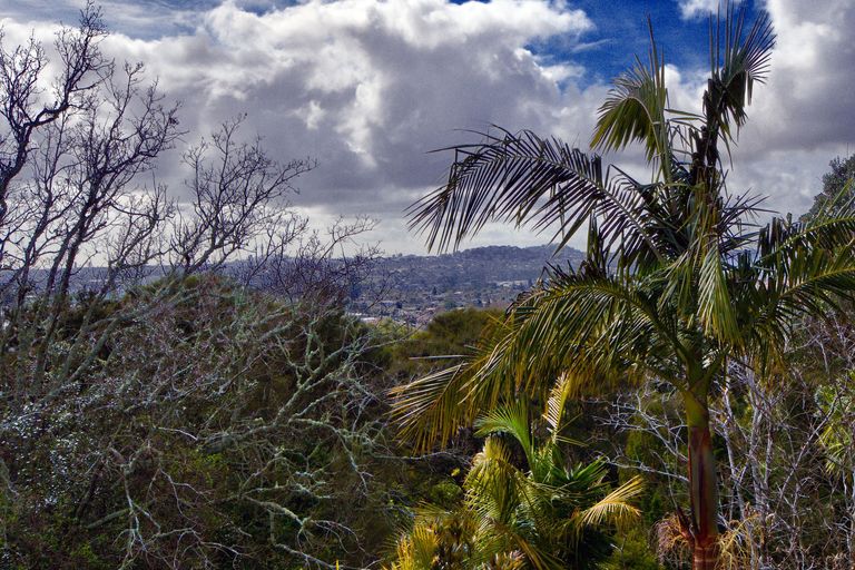 Photo of property in 4a Roland Hill, Glen Eden, Auckland, 0602