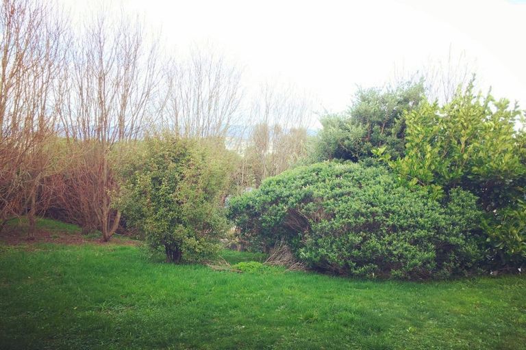 Photo of property in 117 Rakau Road, Hataitai, Wellington, 6021