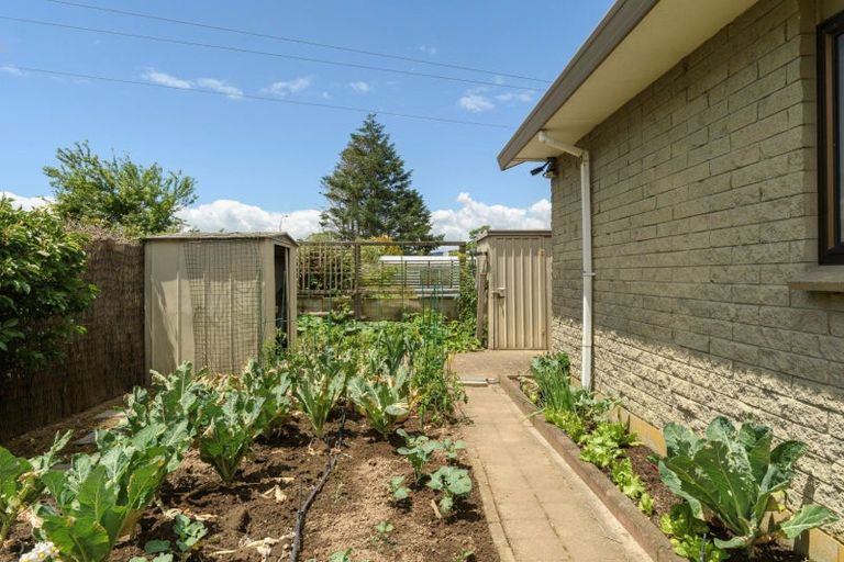 Photo of property in 392 Maungatapu Road, Maungatapu, Tauranga, 3112