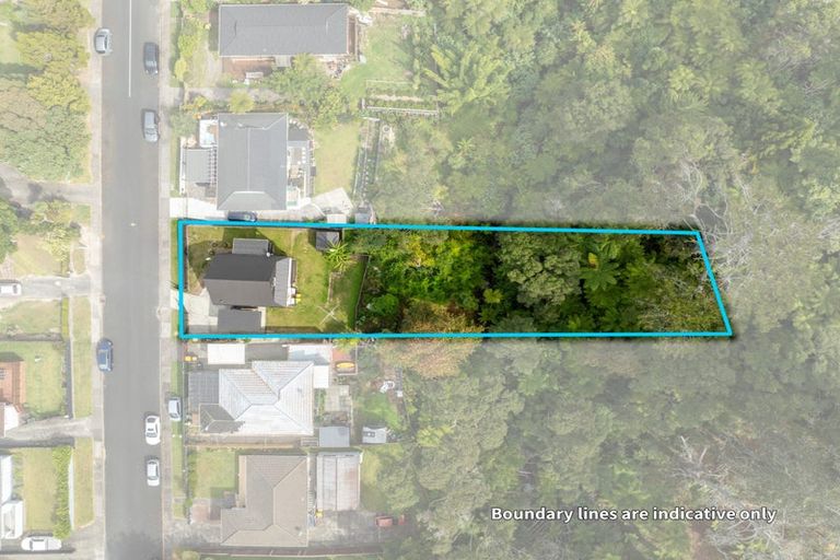 Photo of property in 68 Helena Street, Massey, Auckland, 0614