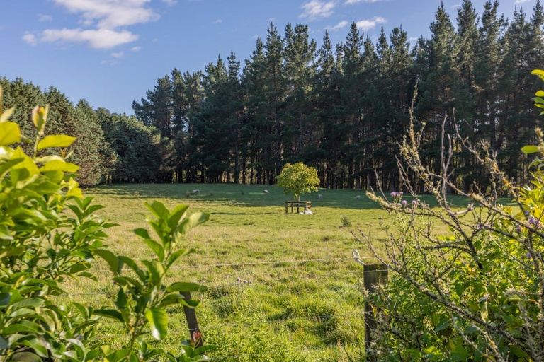 Photo of property in 28 Cemetery Road, Waipawa, 4273