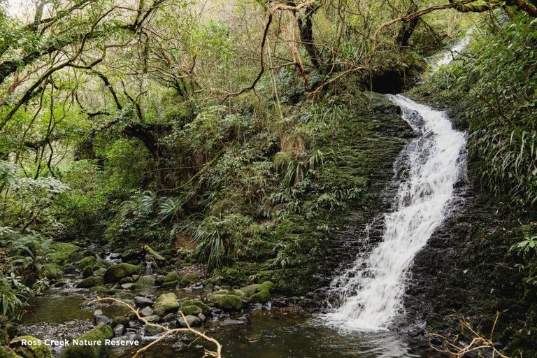Photo of property in 720 Highgate, Maori Hill, Dunedin, 9010