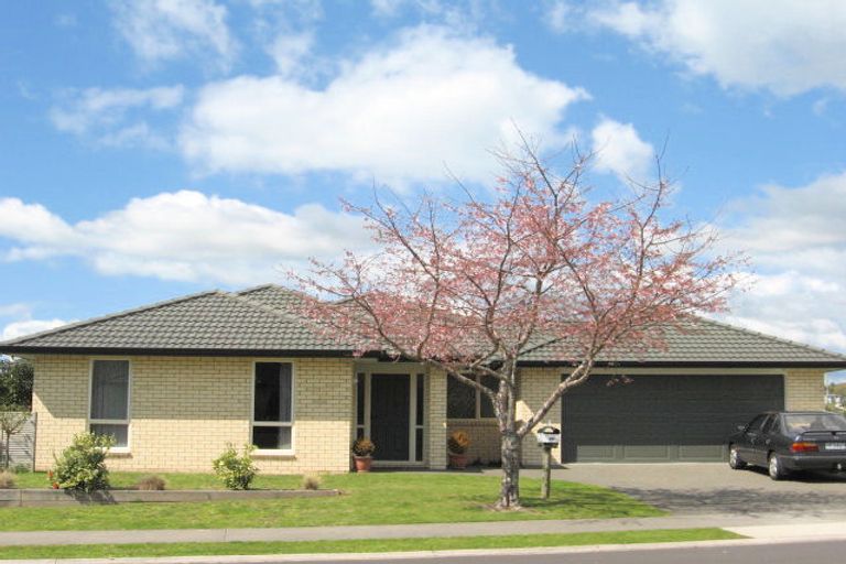 Photo of property in 130 Bethlehem Heights, Bethlehem, Tauranga, 3110