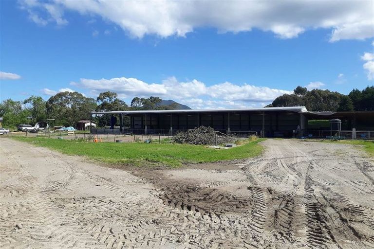 Photo of property in 131d Hogg Road, Rotoma, Whakatane, 3192