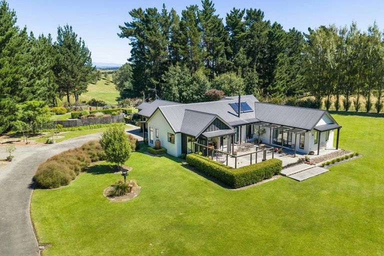 Photo of property in 155b Halcombe Road, Feilding, 4775