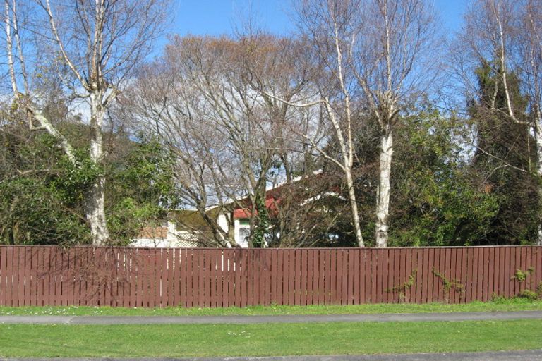 Photo of property in 33 Milne Street, Marton, 4710