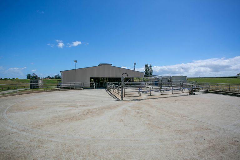 Photo of property in 32b Crispe Road, Clarks Beach, 2122