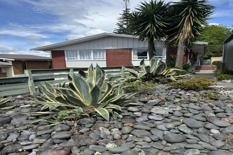 Photo of property in 22 The Drive, Brookfield, Tauranga, 3110