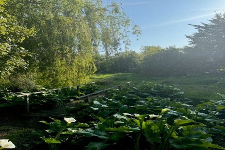 Photo of property in 14a Lincoln Road, Carterton, 5713