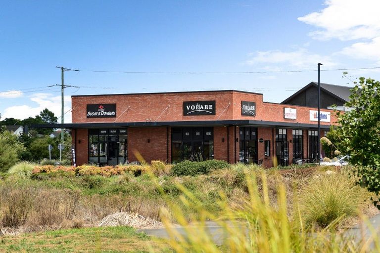 Photo of property in 54 Lulu Avenue, Chartwell, Hamilton, 3210