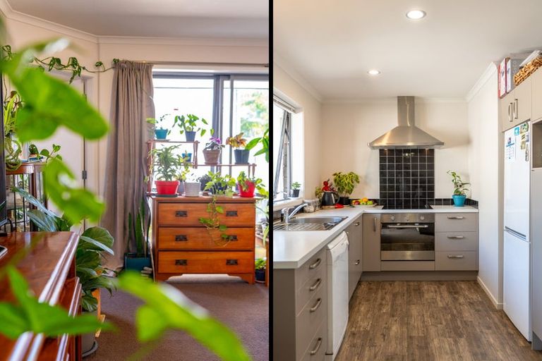 Photo of property in 79d Albert Street, Hamilton East, Hamilton, 3216