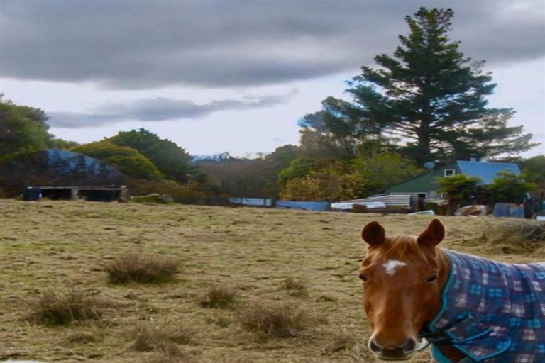 Photo of property in 16 Okoheriki Street, Mamaku, 3020