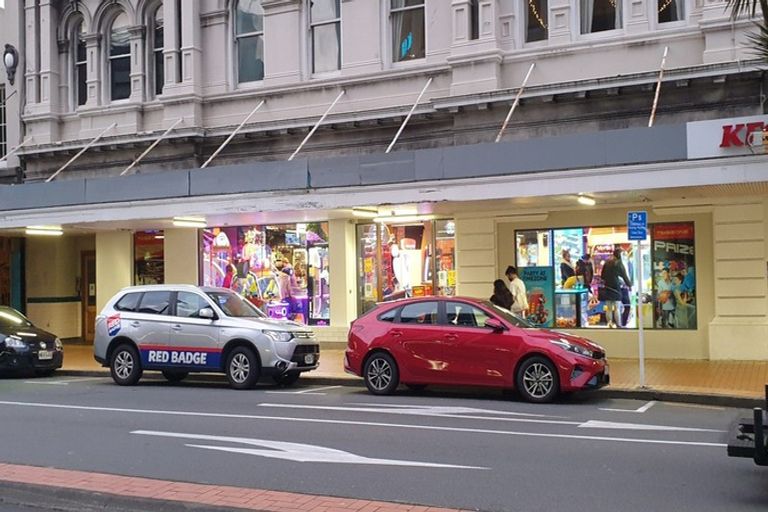 Photo of property in Maison Cabriole Building, 60u3 Courtenay Place, Te Aro, Wellington, 6011