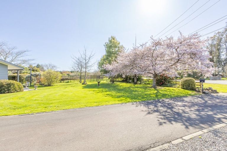 Photo of property in 18 Hatuma Road, Waipukurau, 4200