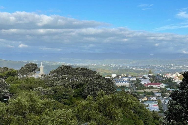 Photo of property in 74 Mitchell Street, Brooklyn, Wellington, 6021