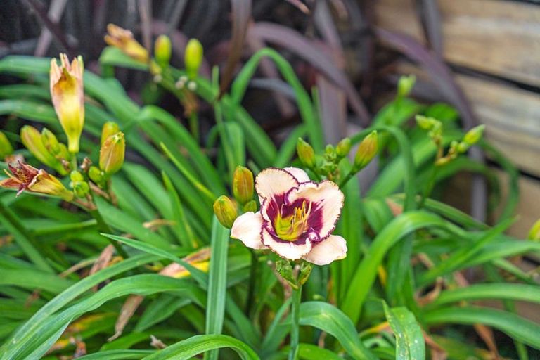 Photo of property in 37 Shoemaker Road, Waipu, 0510